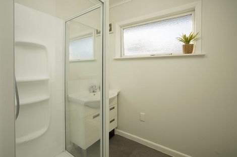 Photo of property in 40 D'arcy Street, Richmond, 7020