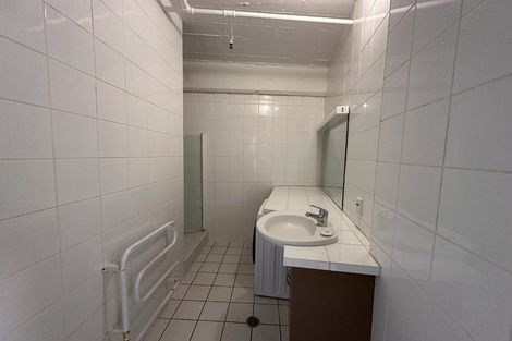 Photo of property in 6c Halleys Lane, Te Aro, Wellington, 6011