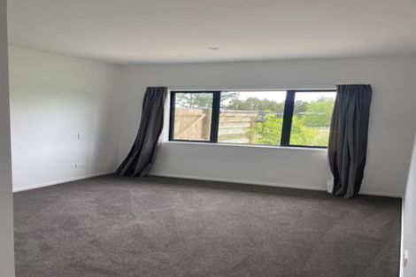 Photo of property in 314 Runciman Road, Ramarama, Pukekohe, 2677