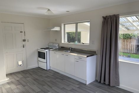 Photo of property in 90 Strathmore Avenue, Levin, 5510