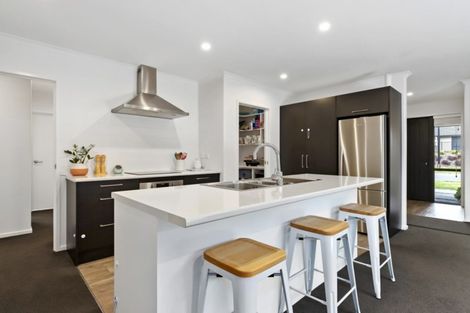 Photo of property in 253 Dixon Road, Fitzroy, Hamilton, 3206