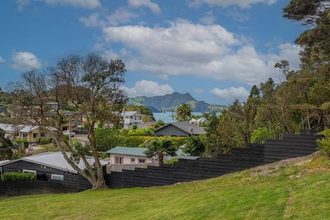 Photo of property in 1135 Purangi Road, Ferry Landing, Whitianga, 3591