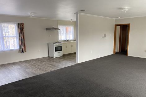 Photo of property in 93 Aurora Terrace, Hillcrest, Hamilton, 3216