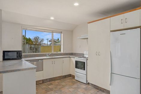 Photo of property in 19a Monro Street, Blenheim, 7201