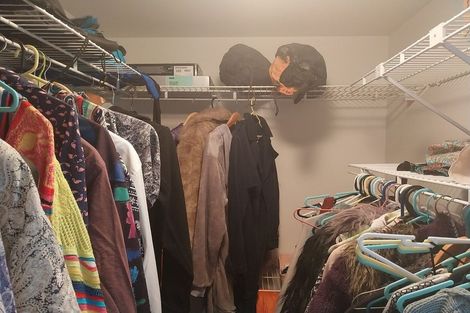 Photo of property in 5/114 Mitchell Street, Brooklyn, Wellington, 6021