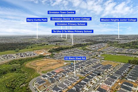 Photo of property in 22 Black Shed Road, Flat Bush, Auckland, 2019