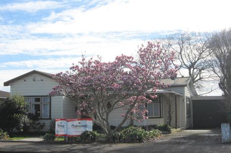 Photo of property in 141 Bath Street, Levin, 5510