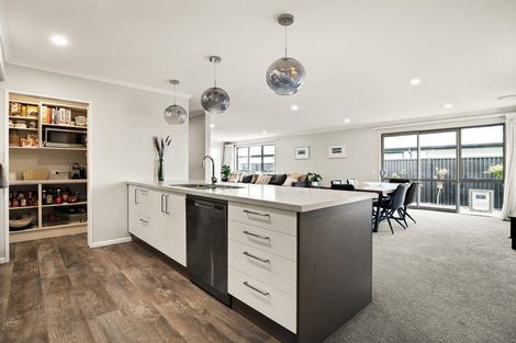 Photo of property in 29 Owhiro Avenue, Mosgiel, 9024