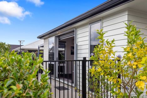 Photo of property in 5 Scarr Lane, Pyes Pa, Tauranga, 3112