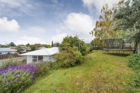 Photo of property in 4 Grant Place, Greenmeadows, Napier, 4112