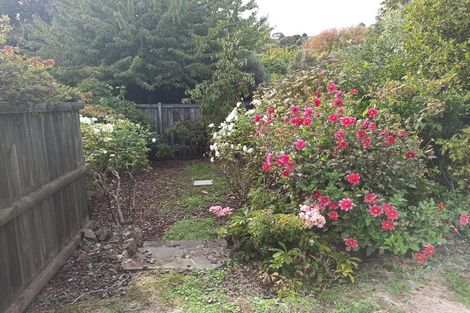 Photo of property in 45 Hackthorne Road, Cashmere, Christchurch, 8022