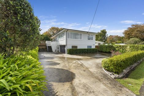 Photo of property in 25 Macarthur Street, Levin, 5510