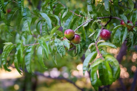 Photo of property in 337 Beacon Point Road, Wanaka, 9305