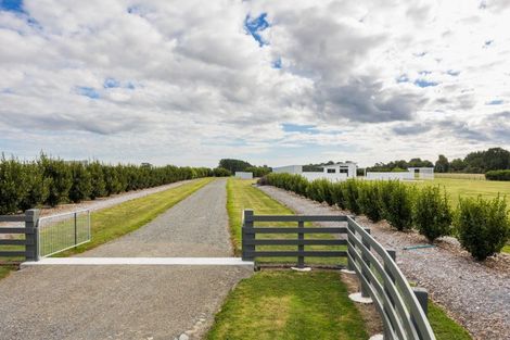 Photo of property in 637 Mount Stewart Halcombe Road, Halcombe, Feilding, 4779
