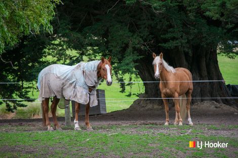 Photo of property in 16 Woodside Road, Woodside, Outram, 9073