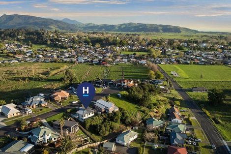 Photo of property in 15 Ohinemuri Place, Paeroa, 3600