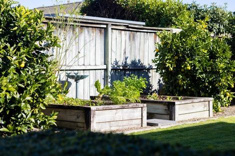 Photo of property in 9 Damio Place, Cambridge, 3434