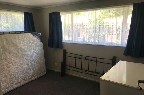 Photo of property in 91 Somerville Street, Andersons Bay, Dunedin, 9013