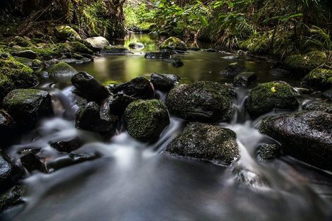 Photo of property in 134 Lone Kauri Road, Karekare, New Lynn, 0772