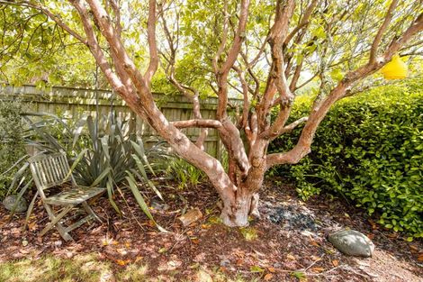 Photo of property in 19 Moore Street, Ohakune, 4625