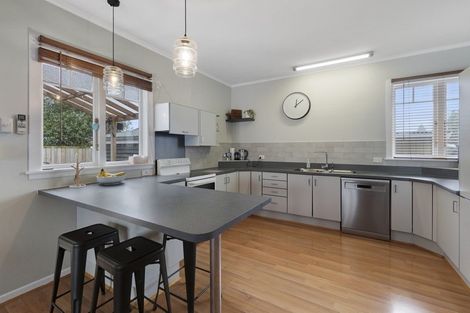 Photo of property in 53 Snell Street, Morrinsville, 3300