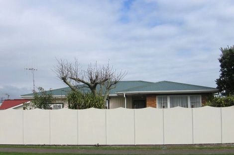 Photo of property in 3 Collingwood Street, Levin, 5510