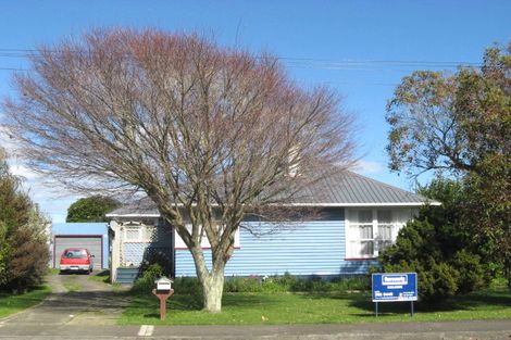 Photo of property in 20 Saint Annes Street, Levin, 5510