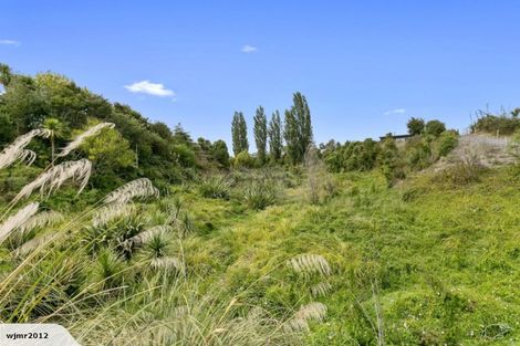 Photo of property in 101 Tarr Road, Ohaupo, 3881