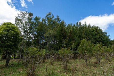 Photo of property in 3687 State Highway 12, Taheke, Kaikohe, 0473