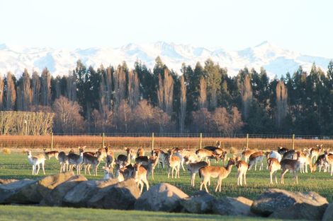 Photo of property in 18 Meadowlinks Lane, Pleasant Point, 7974