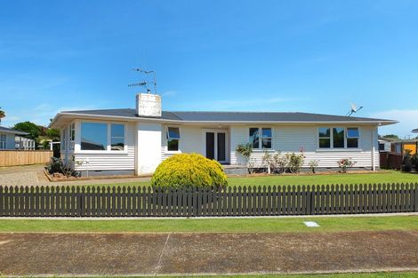 Photo of property in 16 Mark Perreau Place, Foxton, 4814