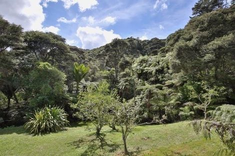 Photo of property in 850 Buffalo Road, Coromandel, 3506