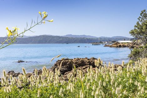 Photo of property in 135 Marine Parade, Seatoun, Wellington, 6022