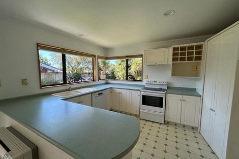 Photo of property in 15 Albizia Place, Richmond, 7020