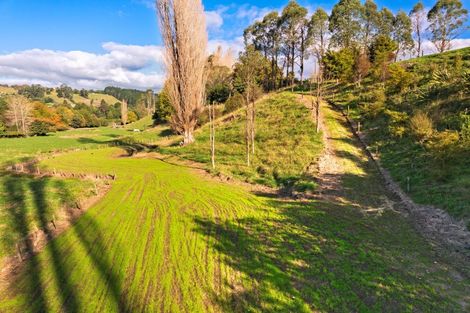 Photo of property in 289 Waitao Road, Waitao, Tauranga, 3175