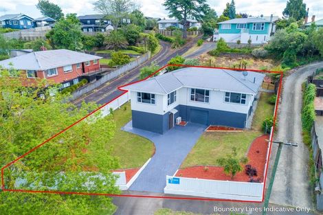 Photo of property in 60 Mahoe Street, Melville, Hamilton, 3206