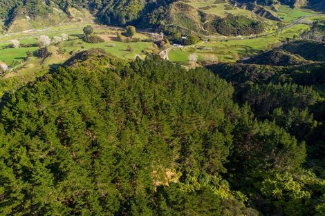 Photo of property in 1177 Mokau Road, Mimi, Urenui, 4379