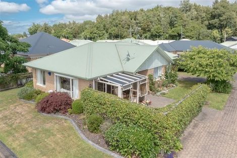 Photo of property in 5 Short Street, Claudelands, Hamilton, 3214