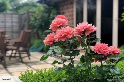 Photo of property in 3 Highpeak Place, Wigram, Christchurch, 8025