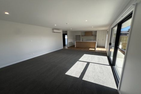 Photo of property in 119a Mcmurdo Street, Tinwald, Ashburton, 7700