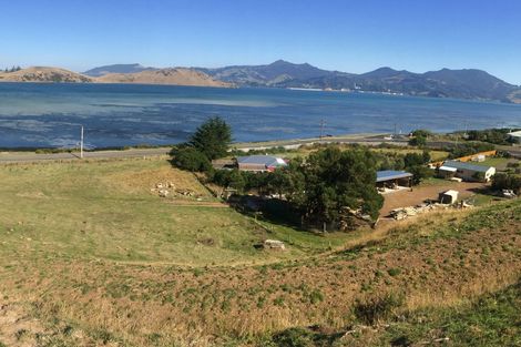 Photo of property in 290 Harington Point Road, Lower Portobello, Dunedin, 9077