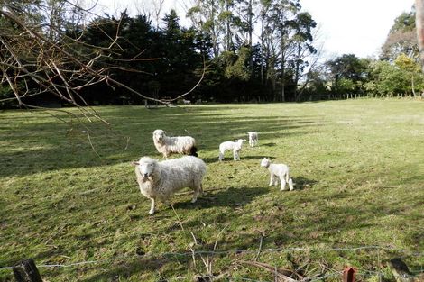 Photo of property in 404 Mangatarere Valley Road, West Taratahi, Carterton, 5791