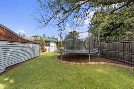 Photo of property in 114 Kairua Road, Kairua, Tauranga, 3175