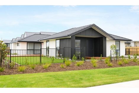 Photo of property in 88 Berryfield Drive, Appleby, Richmond, 7020