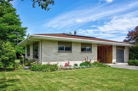 Photo of property in 42 Oak Street, Masterton, 5810