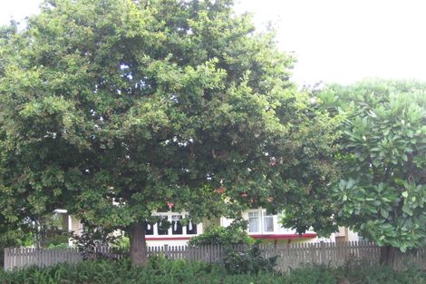 Photo of property in 5 Mount Albert Road, Mount Albert, Auckland, 1025