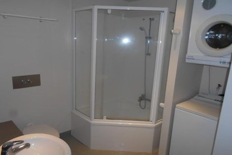 Photo of property in St Peters Apartments, 6e/192 Willis Street, Te Aro, Wellington, 6011