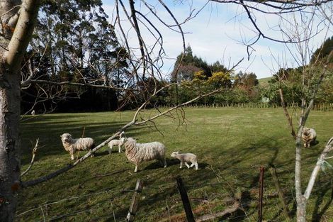 Photo of property in 404 Mangatarere Valley Road, West Taratahi, Carterton, 5791