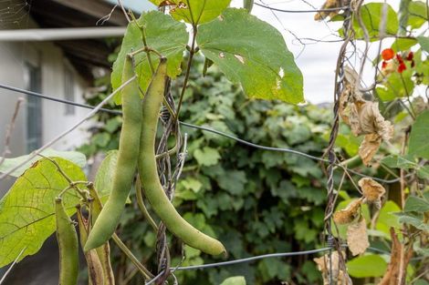 Photo of property in 12 George Street, Te Aroha, 3320