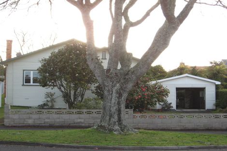 Photo of property in 13 Masters Avenue, Hillcrest, Hamilton, 3216